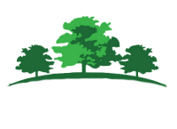 pbravo_logo_w